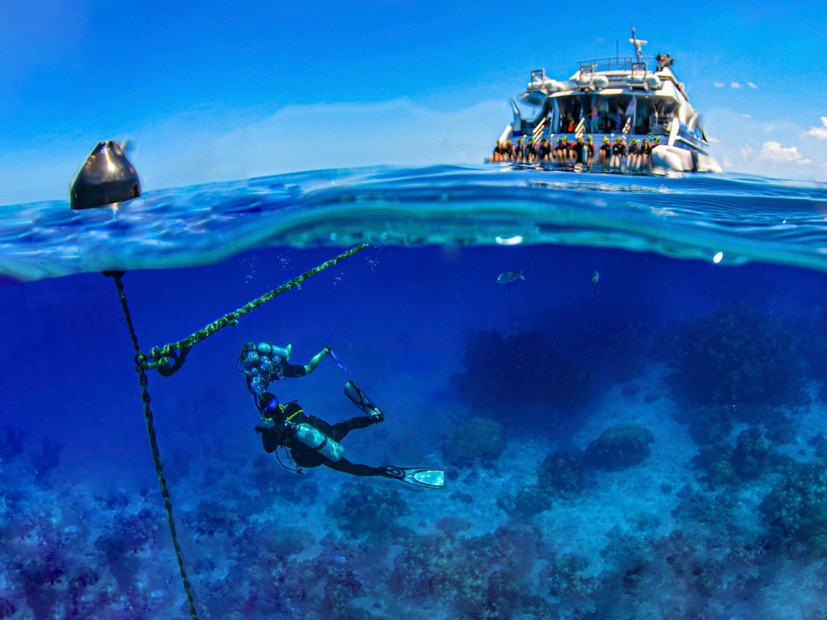 Divers on the Great Barrier Reef