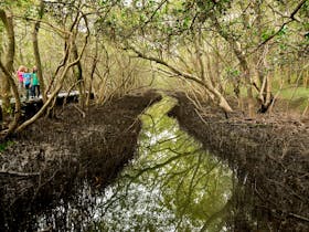 Coffs Creek Walk and Cycleway