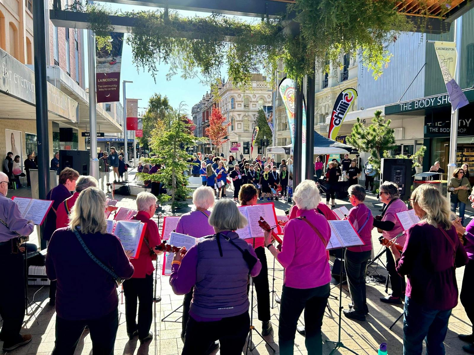 Community group from Hobart dressed in pink performing in Brisbane St Mall to  Saturday shoppers.