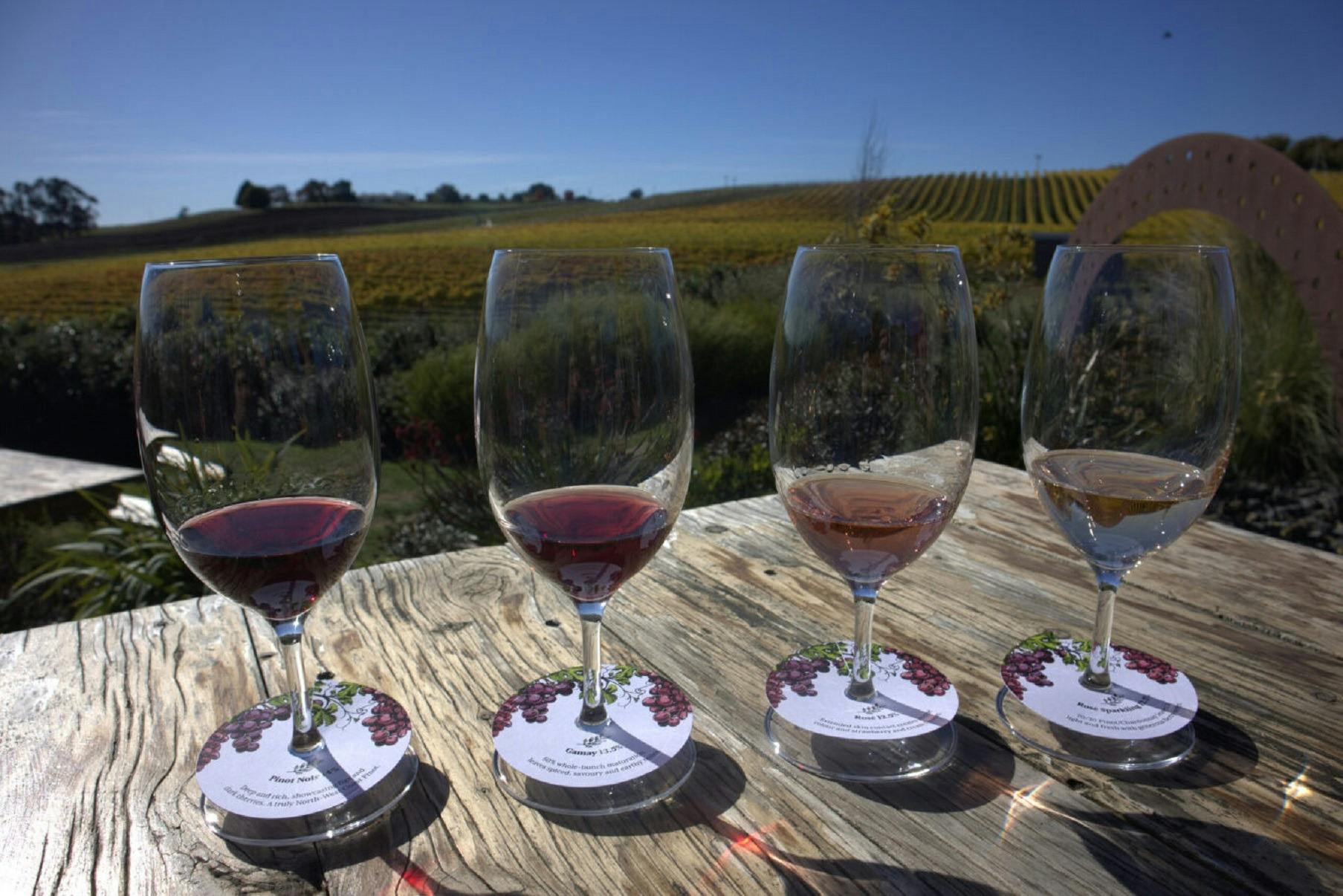 Photo of Wine Tasting at Eastford Creek Vineyard