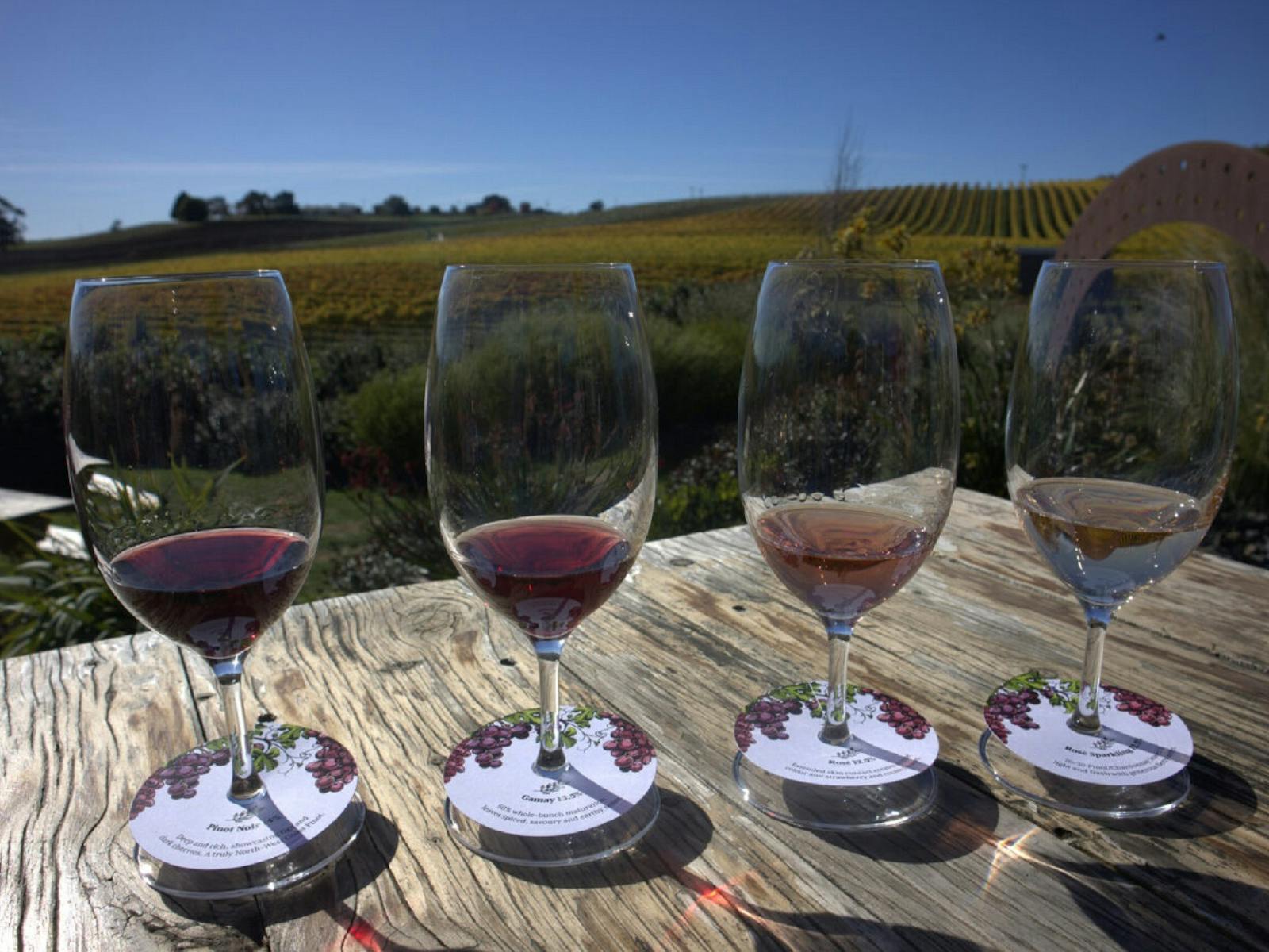 Photo of Wine Tasting at Eastford Creek Vineyard