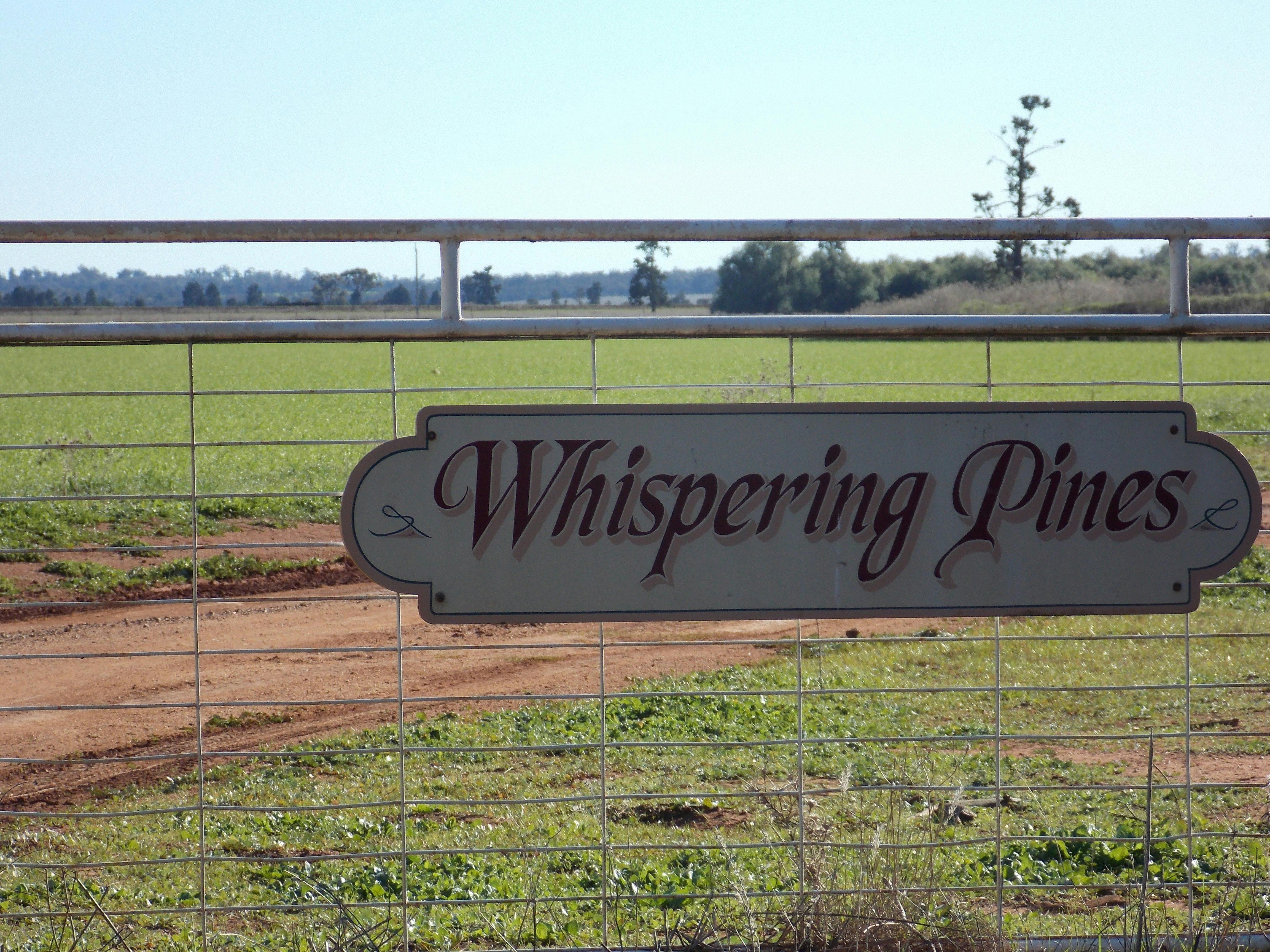 Whispering Pines Organics Farm And Flour Mill Nsw Holidays