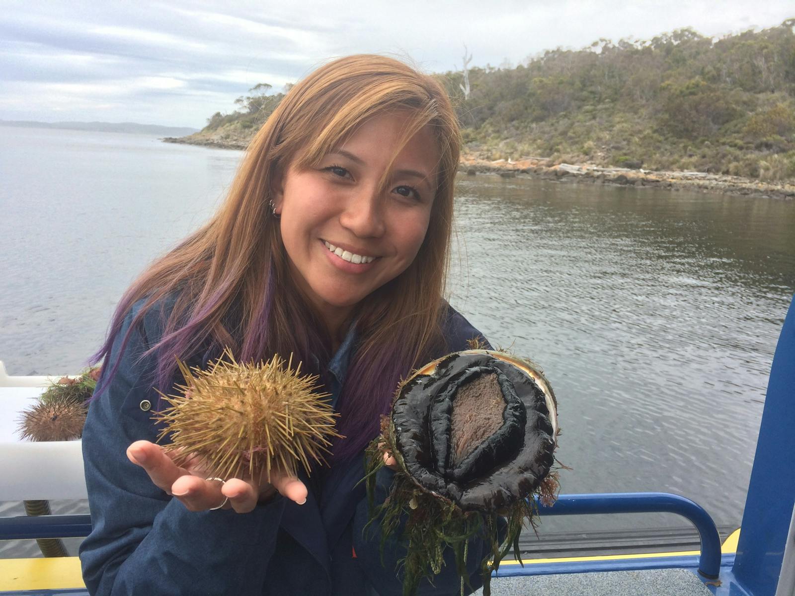 Sea urchin and abalone