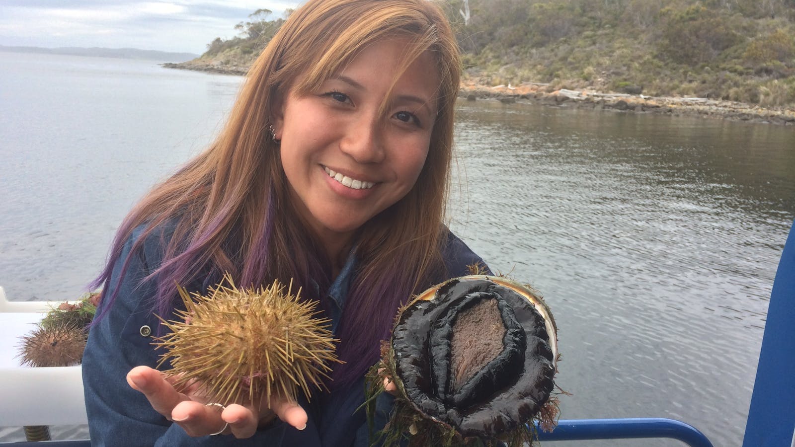 Sea urchin and abalone
