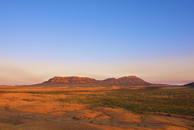 Ikara Flinders Ranges National Park