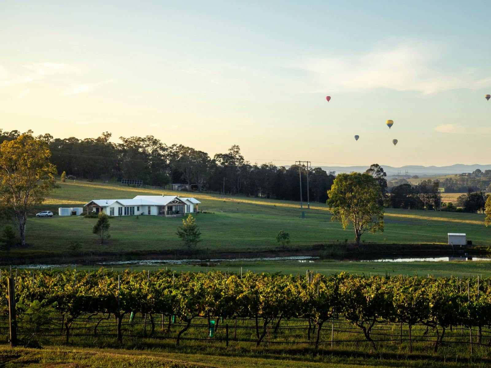 ブドウ園を見渡すモリー・モーガン・ワインズ・ヴィラ