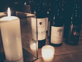 Cabin Fever - Virtual Friday Wine Bar