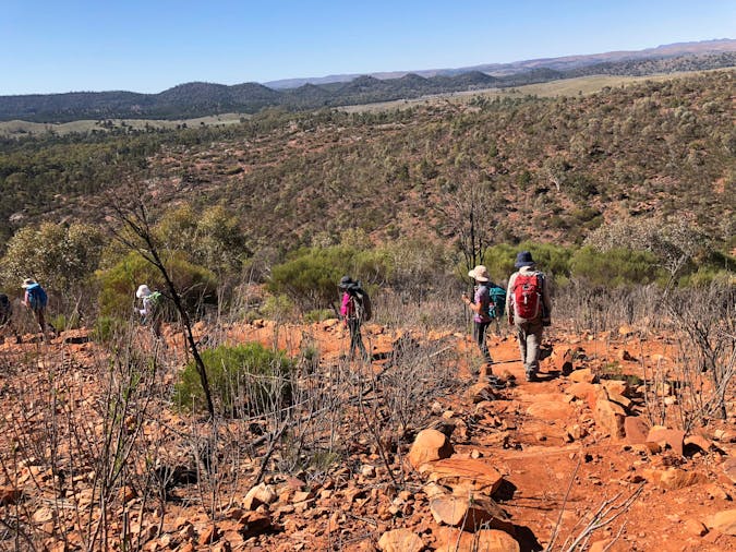 Flinders Ranges Walking Holiday