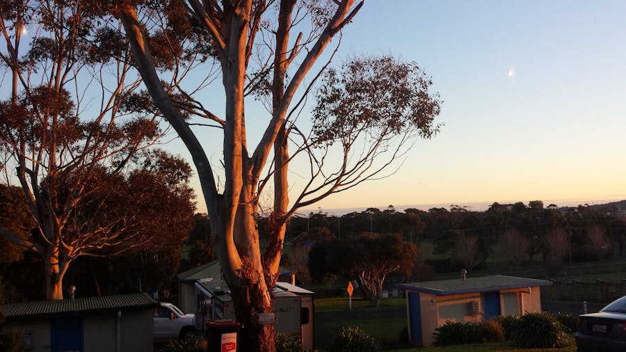 Limestone Coast Tourist Park