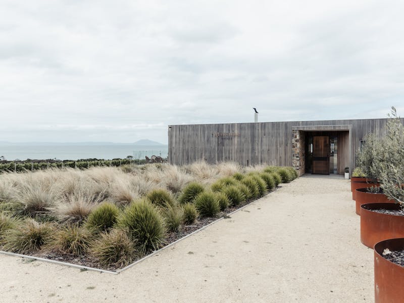cellar door