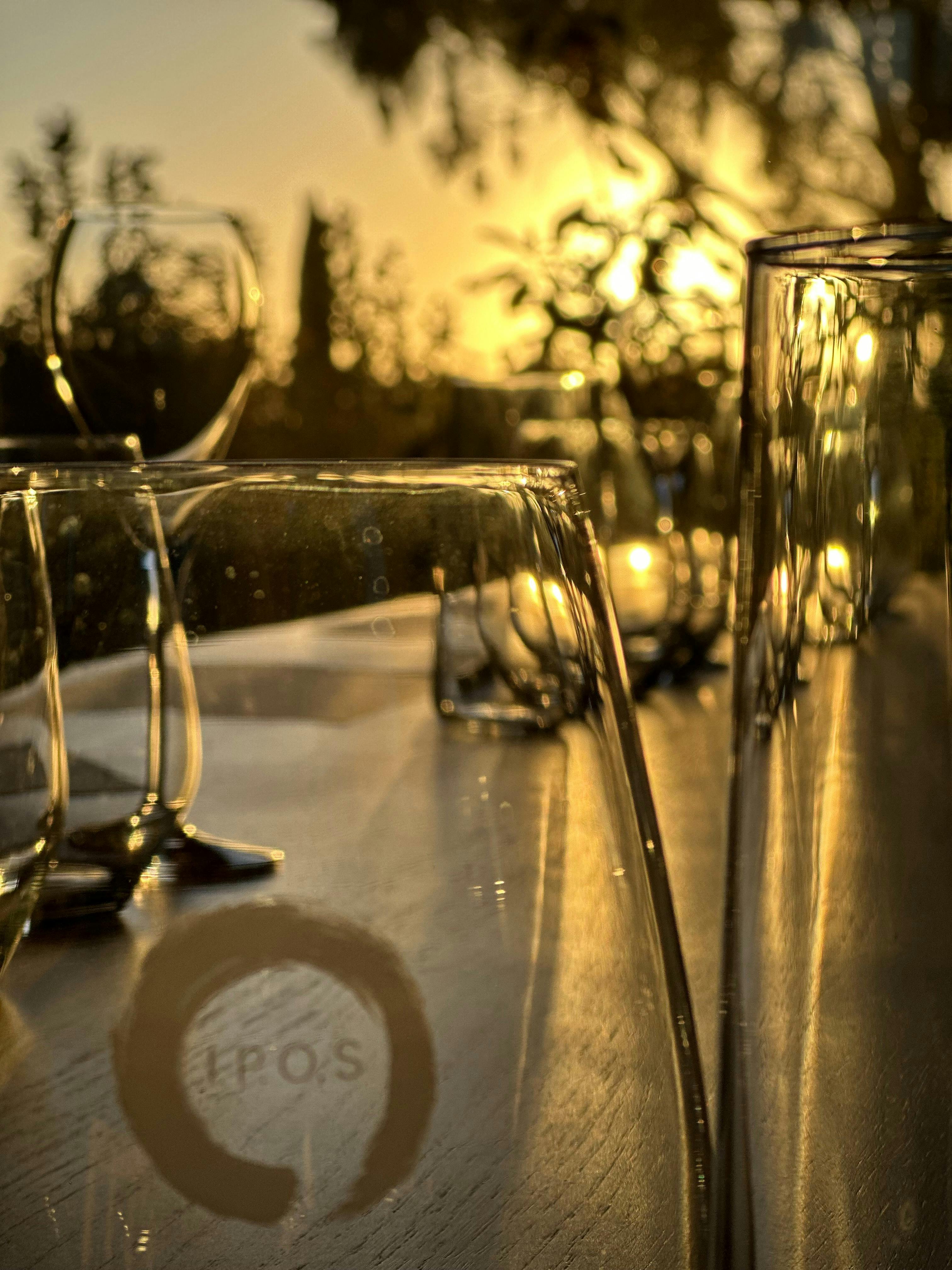 Soft light filtering through Tasting Room