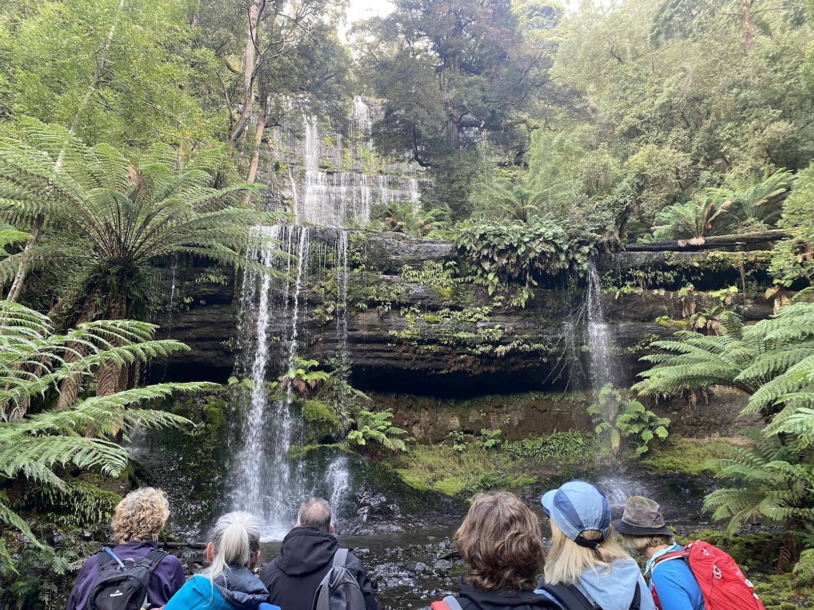 Falls