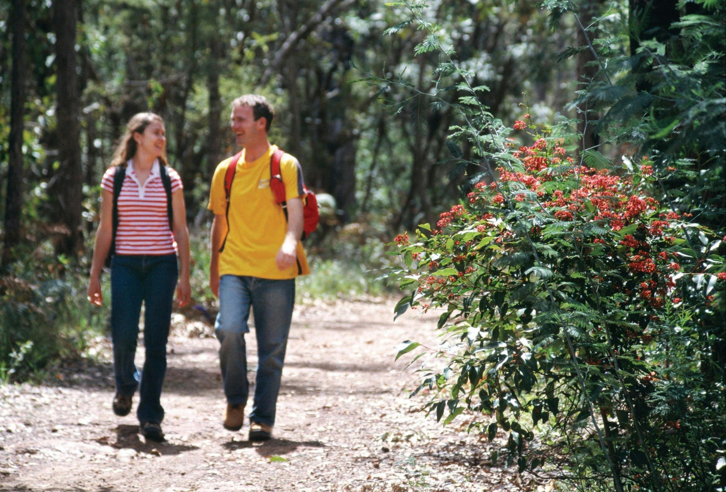Jarrahland Wildflower Trail, Dwellingup, Western Australia