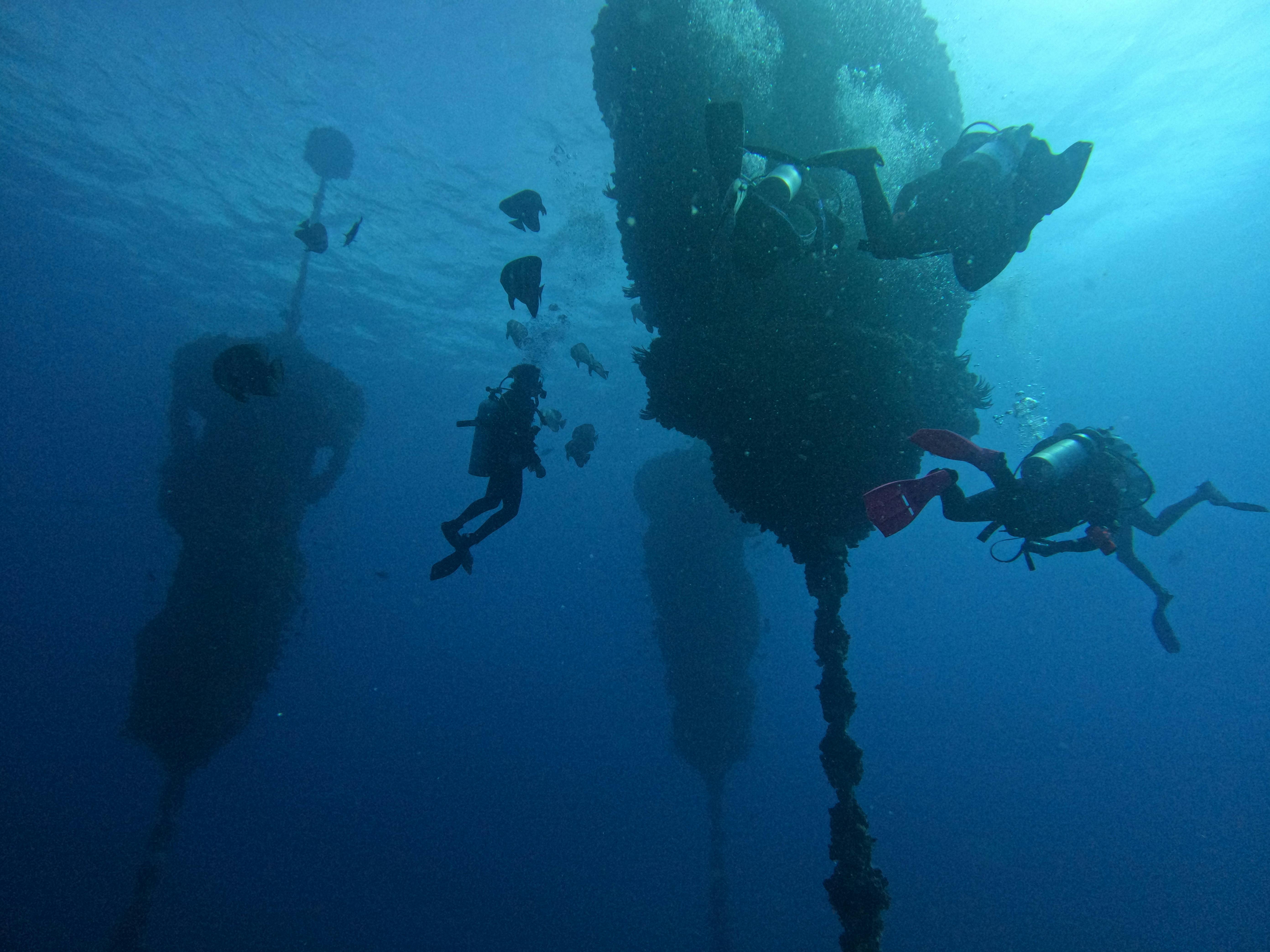 Wonder Reef Gold Coast