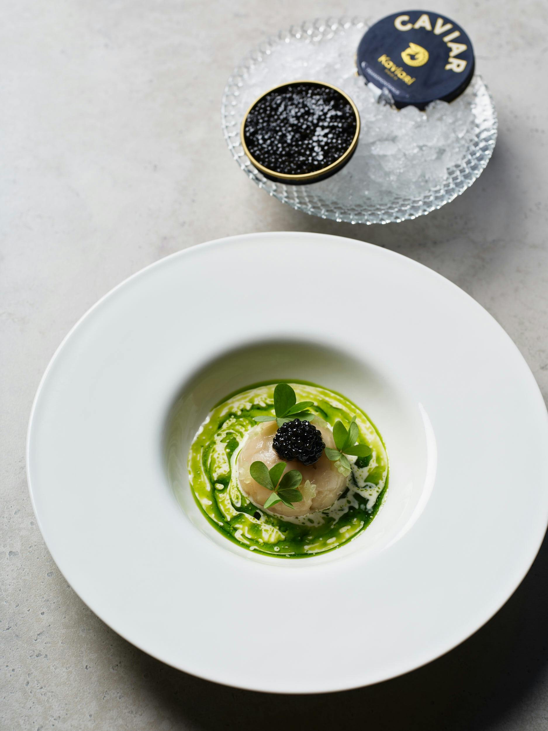 ホタテ貝、フェンネルヴルーテ、キュウリ、セロリ、マカダミア、キャビア