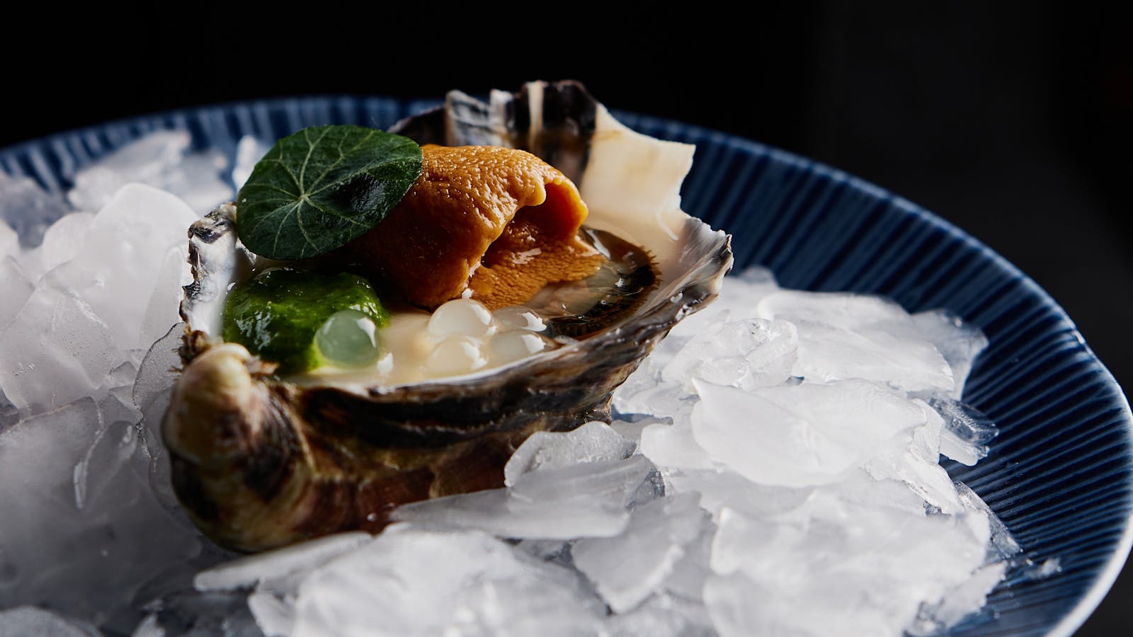 Tasmanian Sea Urchin Oyster