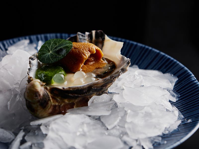A Tasmanian Pacific Oyster, topped with sea urchin uni, yuzu pearls, and chimichurri