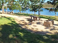 Picnic tables and wood-fired barbeque under hoop pines beside Lake Tinaroo.