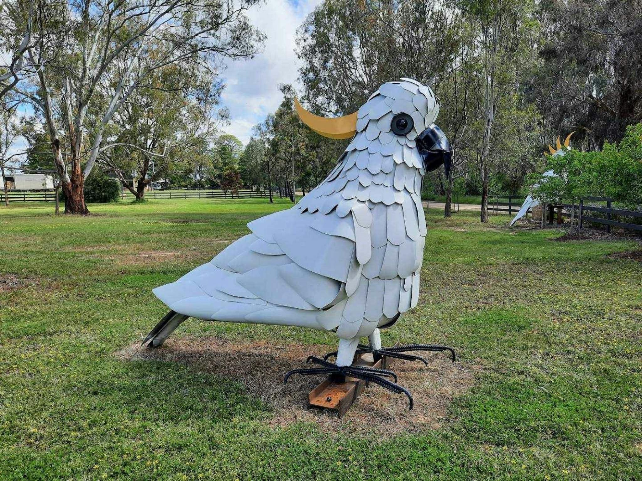 Cockatoo