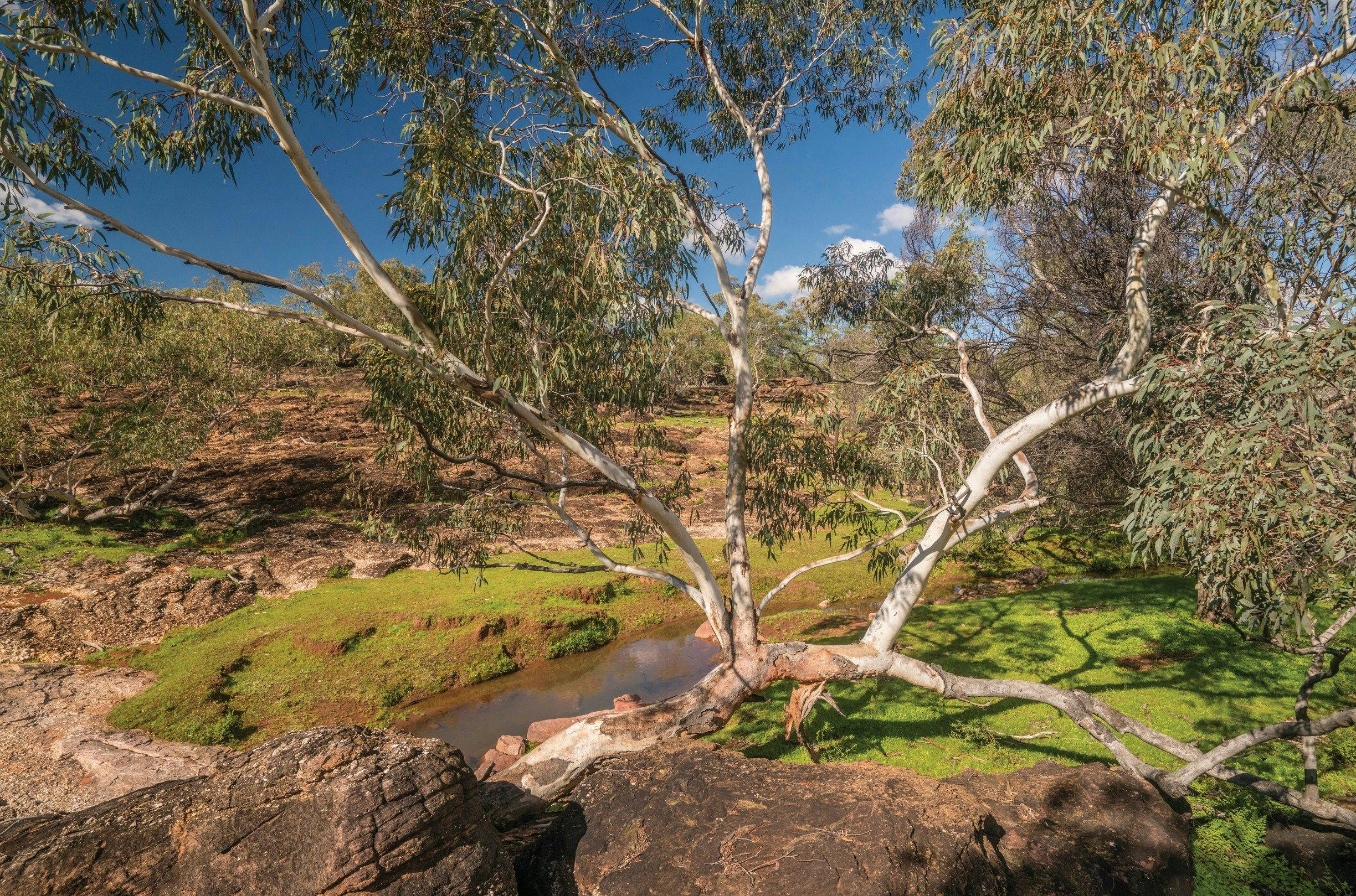 Mount Grenfell Historic Site