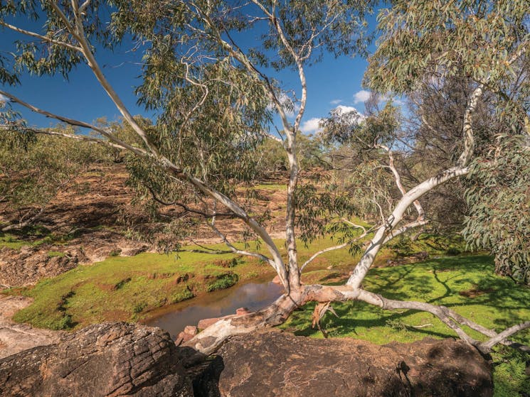 Mount Grenfell Historic Site