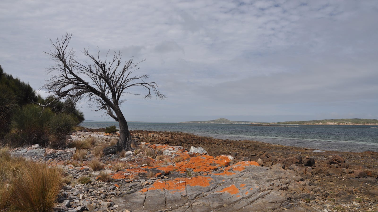 Drive Discovery South East Coast Flinders Island