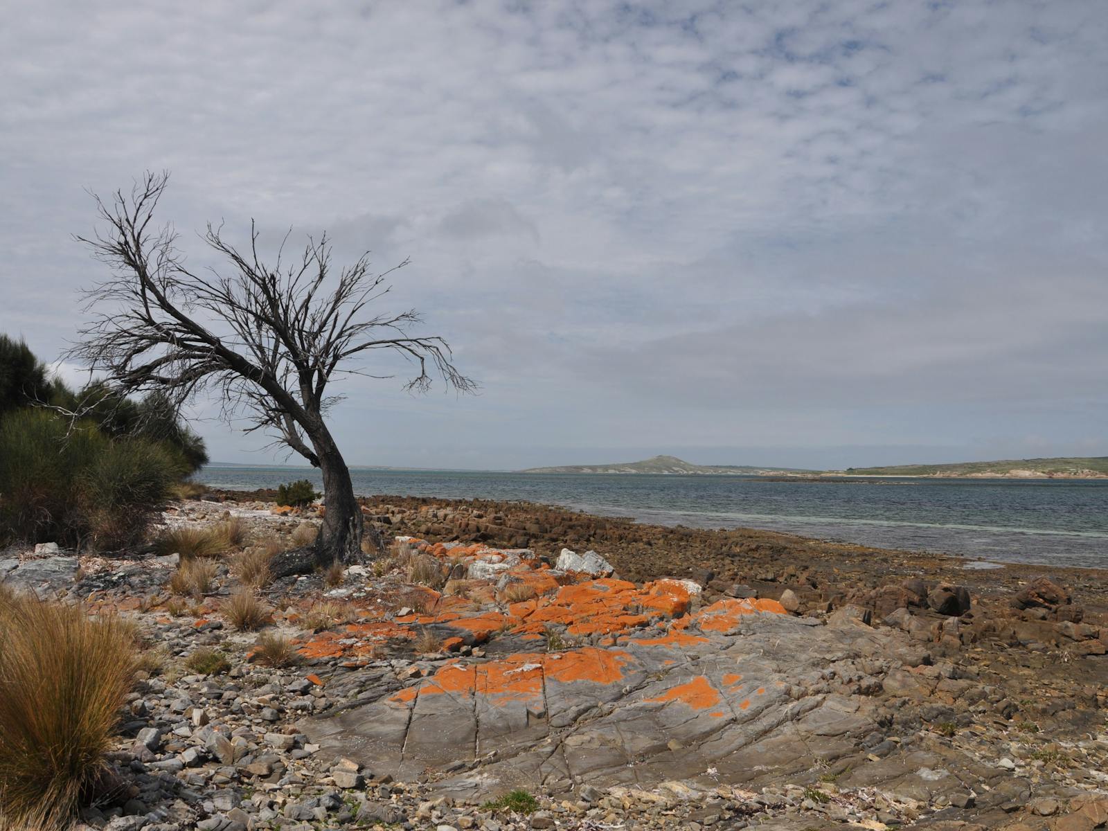 Badger Corner Lady Barron Flinders Island Tasmania