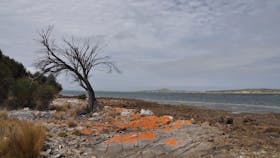 Drive Discovery South East Coast Flinders Island