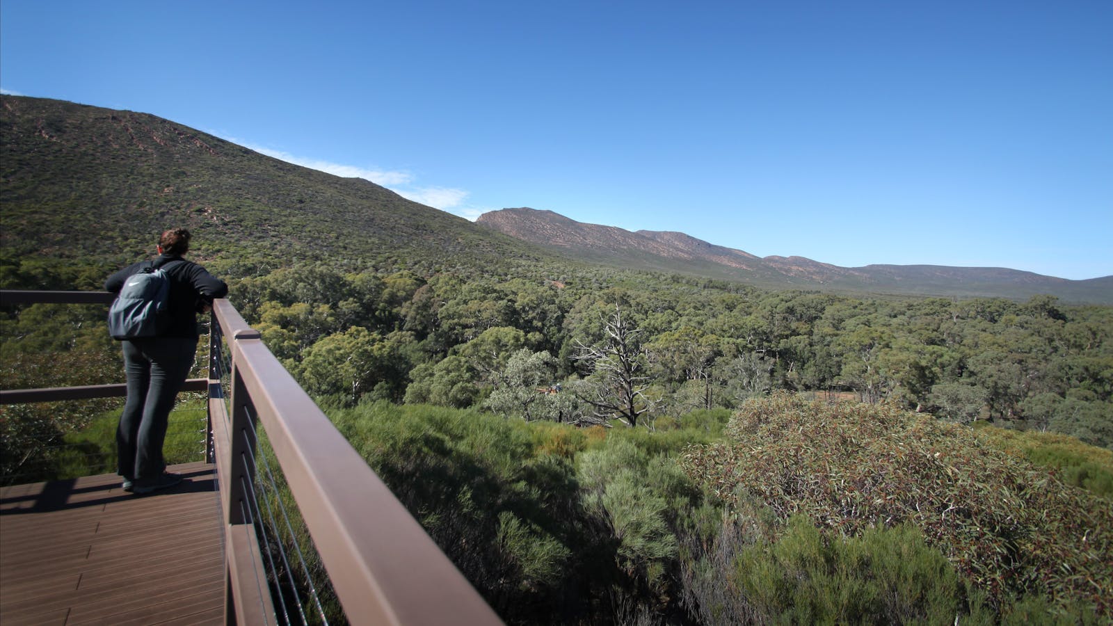 Ikara-Flinders Ranges National Park
