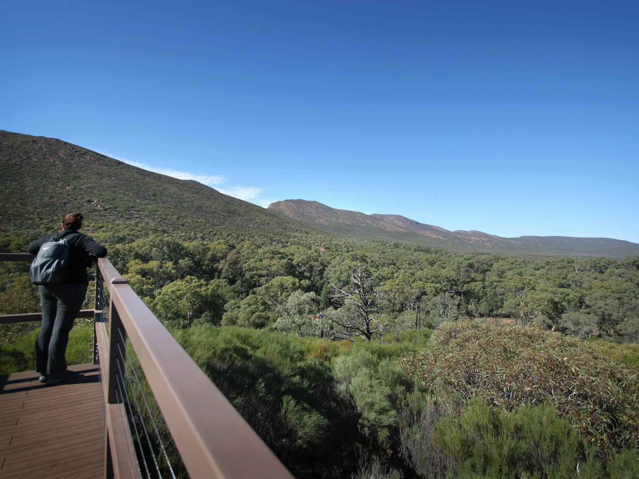 wilpena-pound