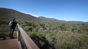 Ikara-Flinders Ranges National Park