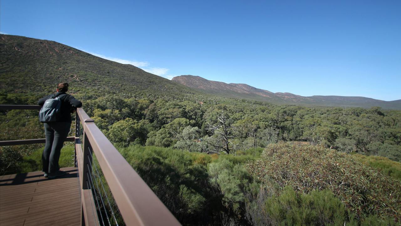 Ikara-Flinders Ranges National Park