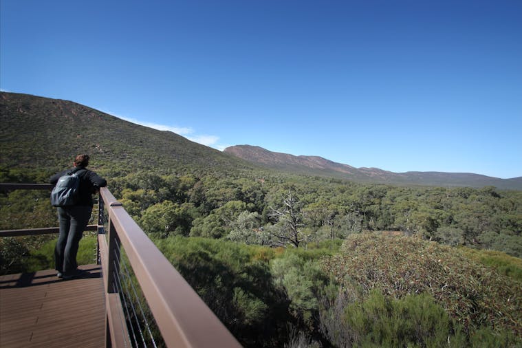IkaraFlinders Ranges National Park