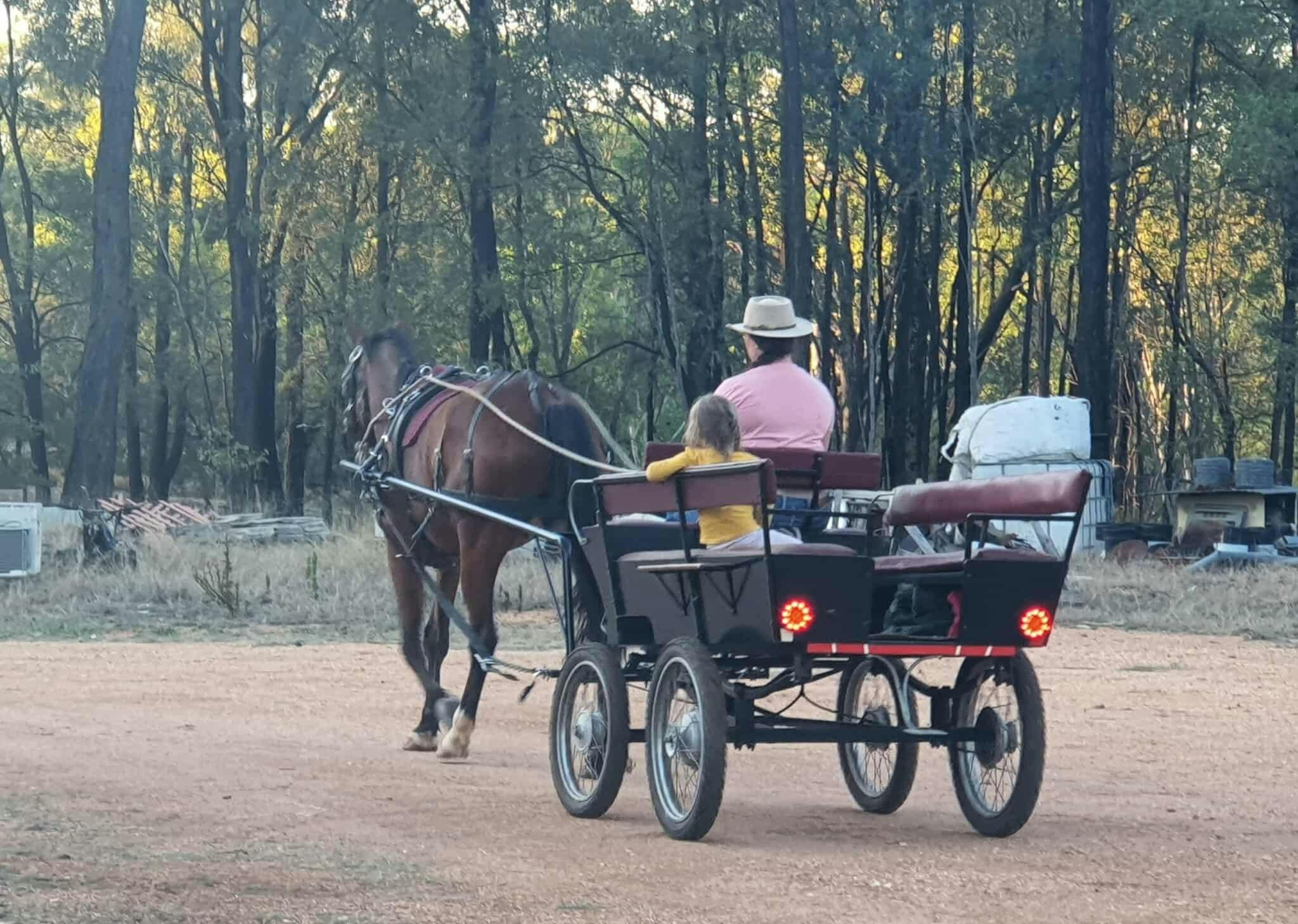 Colin in the small wagon