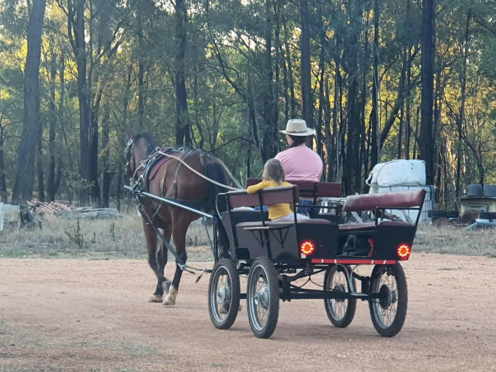Colin in the small wagon Colin in the small wagon