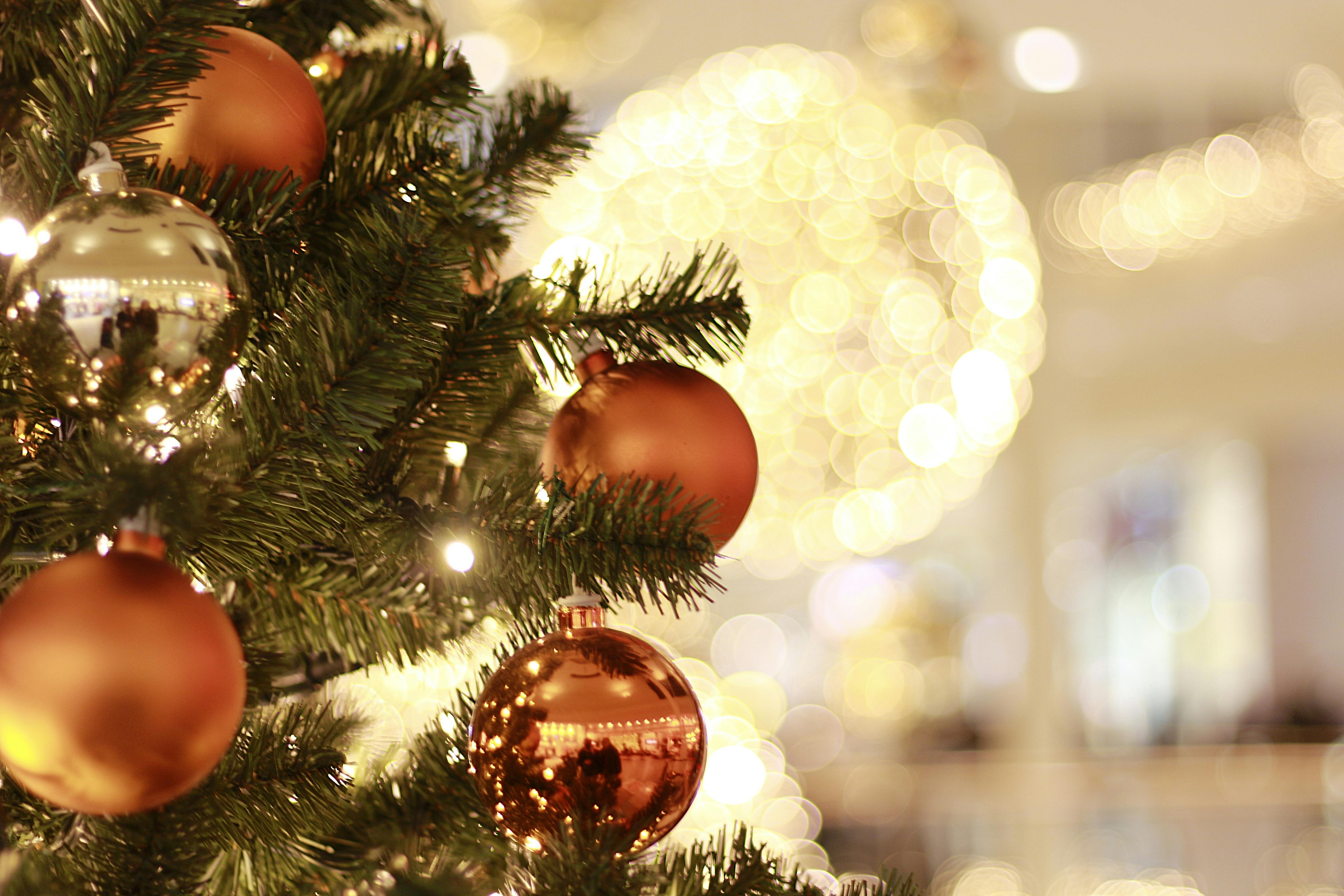 Longford Christmas Twilight Market