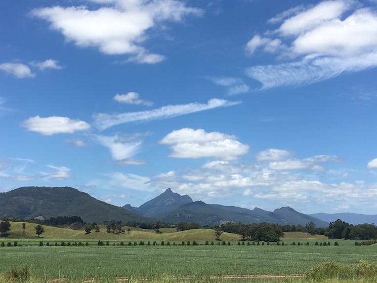 The view from Ventura Brewery