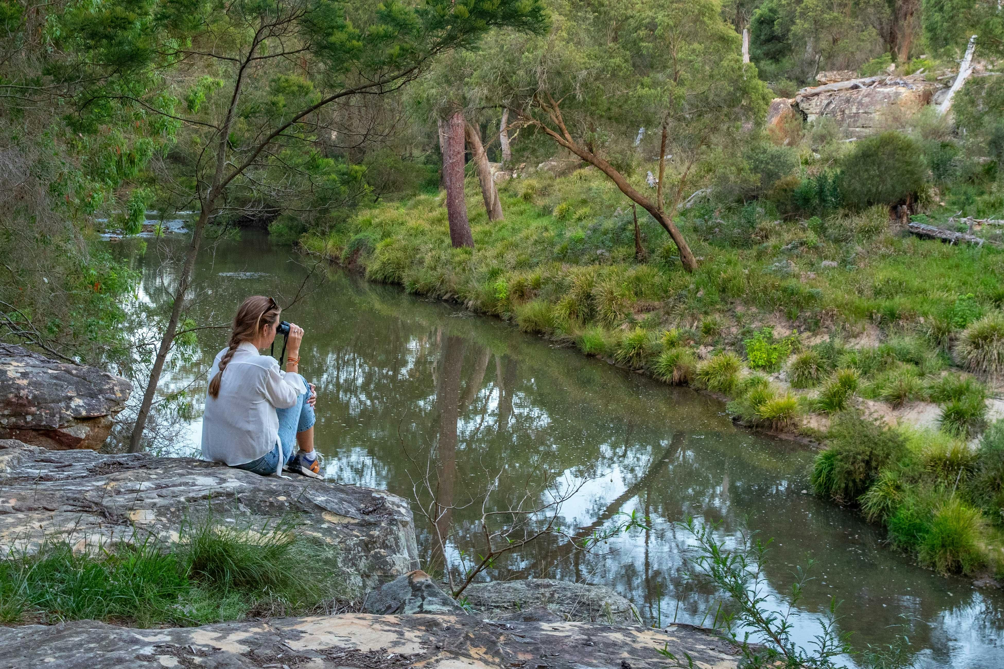 Enjoy the tranquility of the river and the chance to witness a platypus feed - Sydney Bespoke Tours