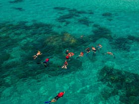 snorkel tour off Ocean Free vessel - Great Barrier Reef and Green Island , Master Reef Guide