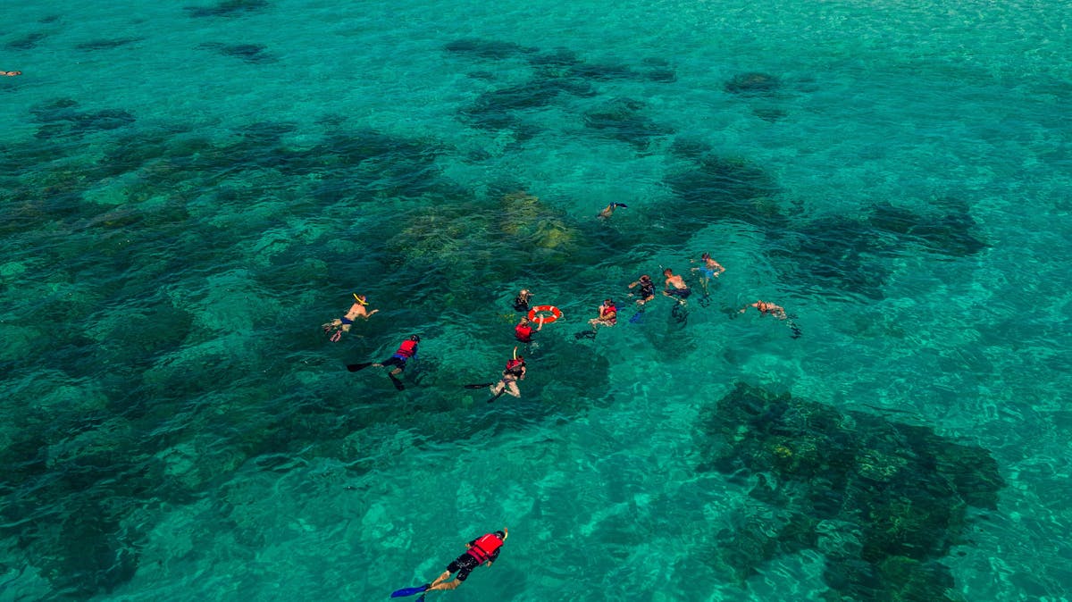 snorkel tour off Ocean Free vessel - Great Barrier Reef and Green Island tour