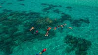 snorkel tour off Ocean Free vessel - Great Barrier Reef and Green Island , Master Reef Guide
