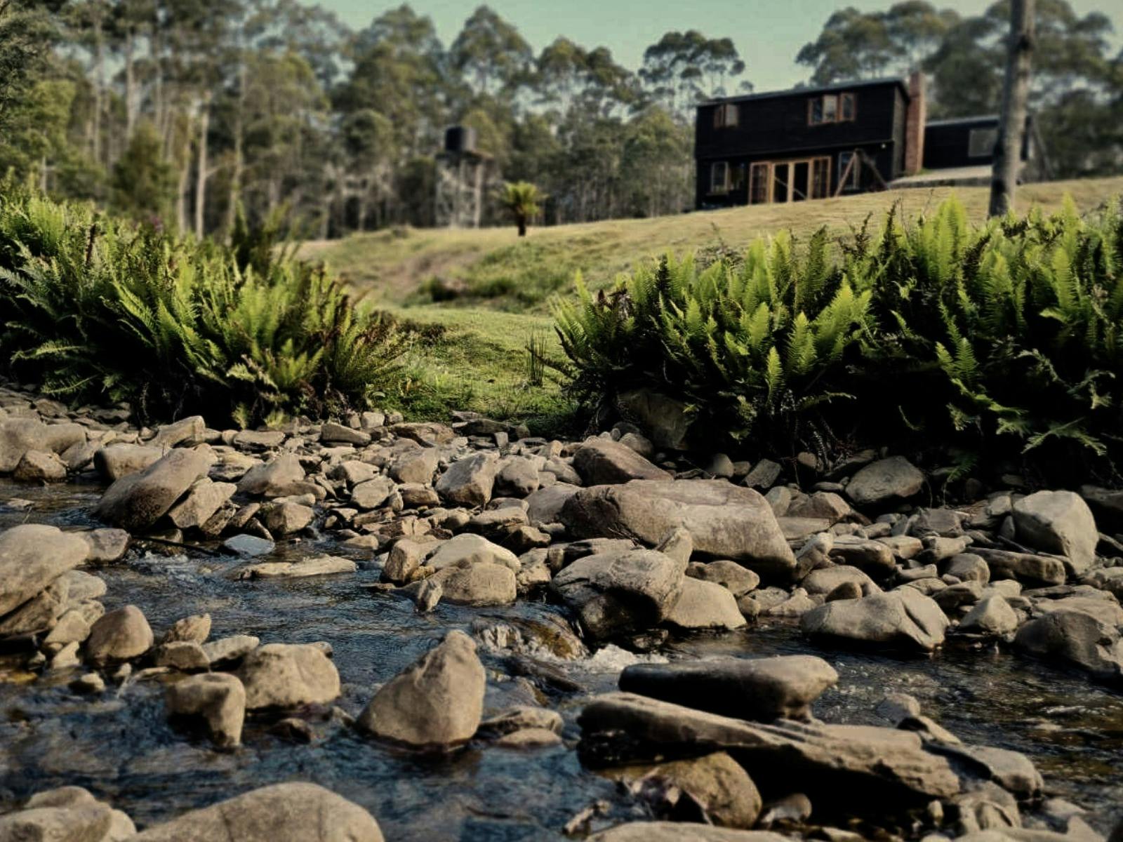 A mountain stream with a rustic cabin in the background