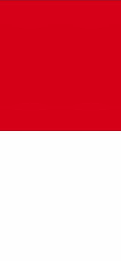 Flag of Indonesia