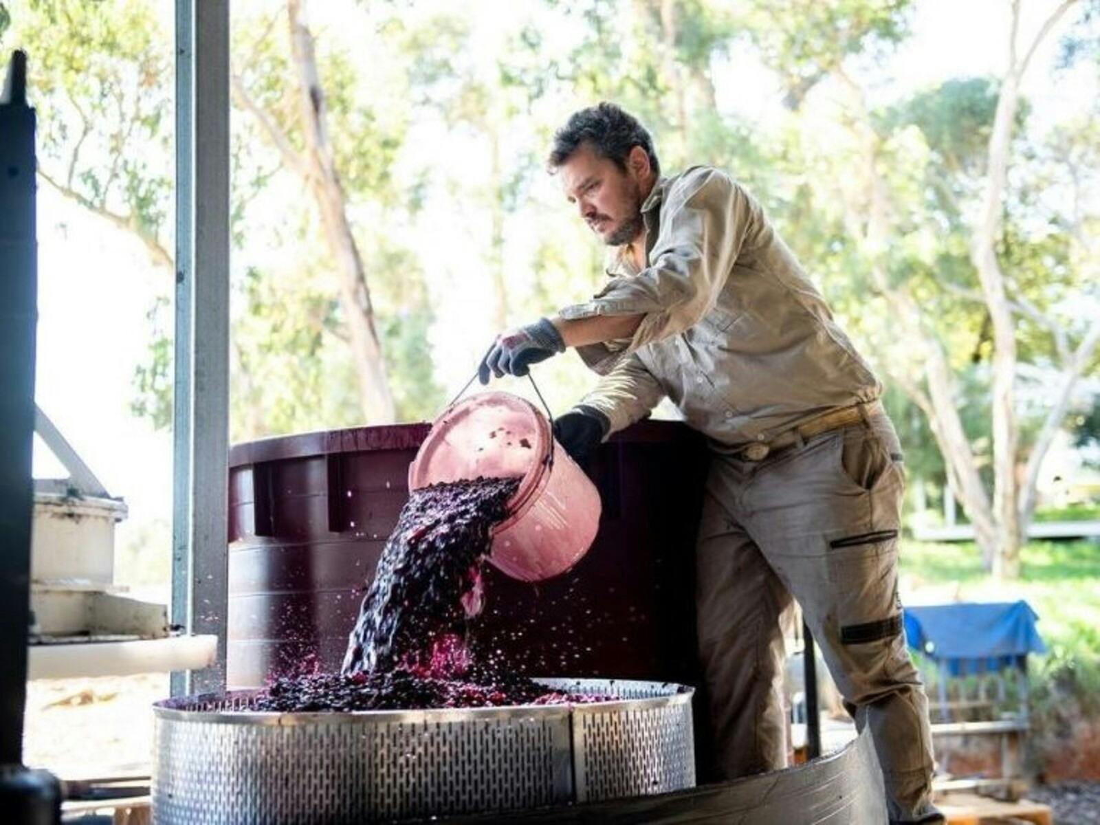 Winemaker Martin Moran