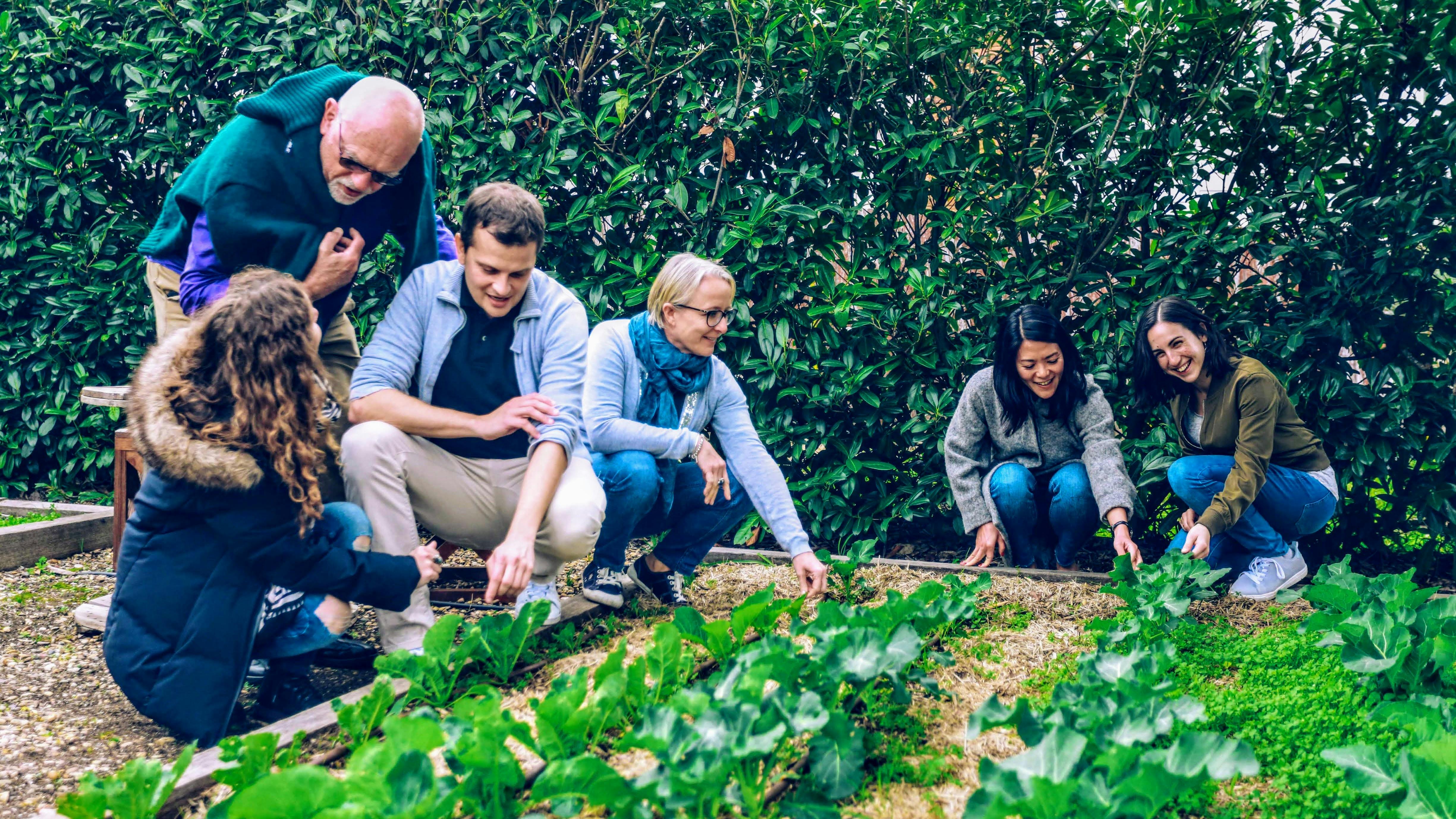 eschalot restaurant garden to plate experience - Taste of the Highlands tour, Local Travel Planner