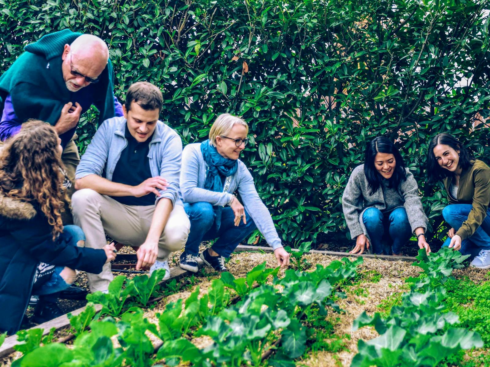 eschalot restaurant garden to plate experience - Taste of the Highlands tour, Local Travel Planner