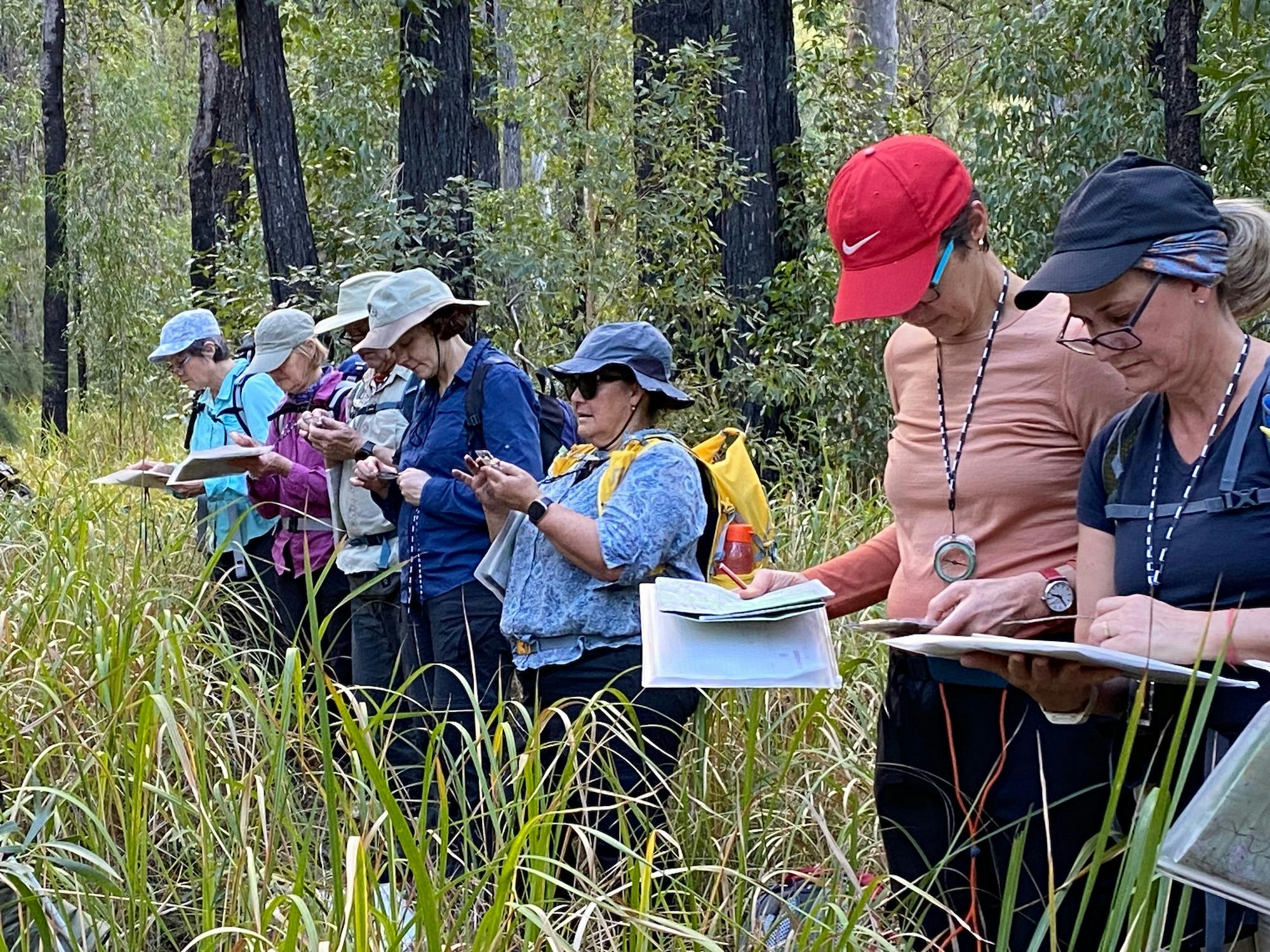 7 people stand in long grass in the Australian bush, taking compass bearings with maps.