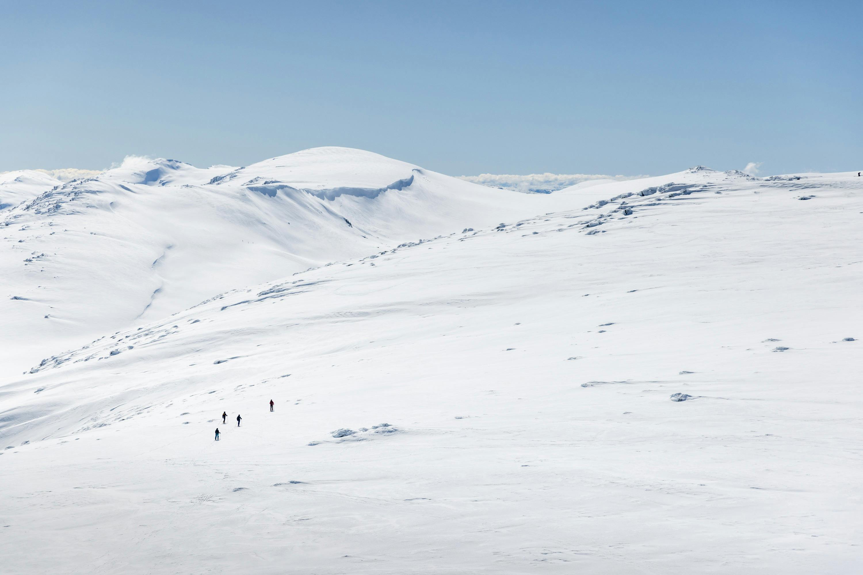 Snowshoe Tours