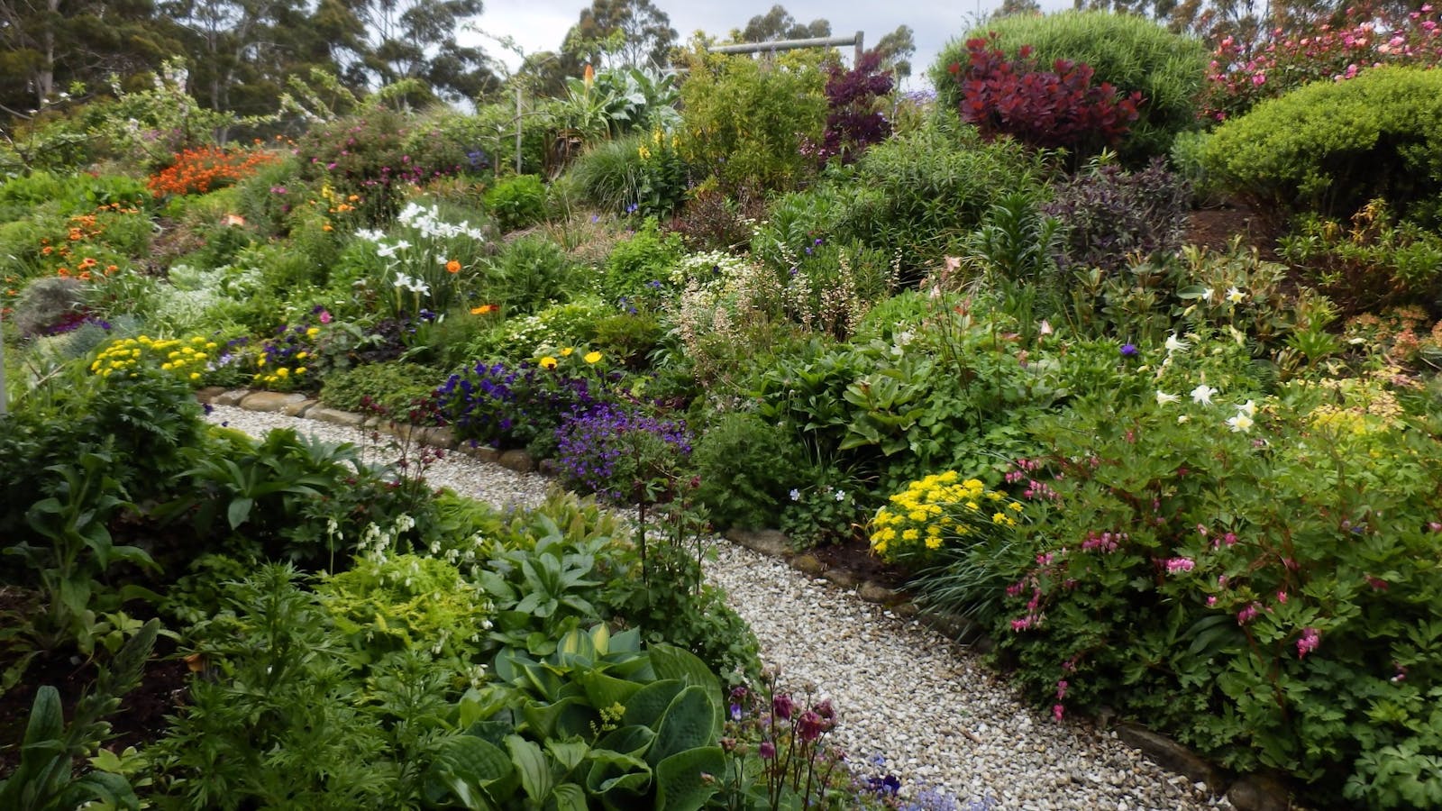 Woodbridge Hill Handweaving Studio