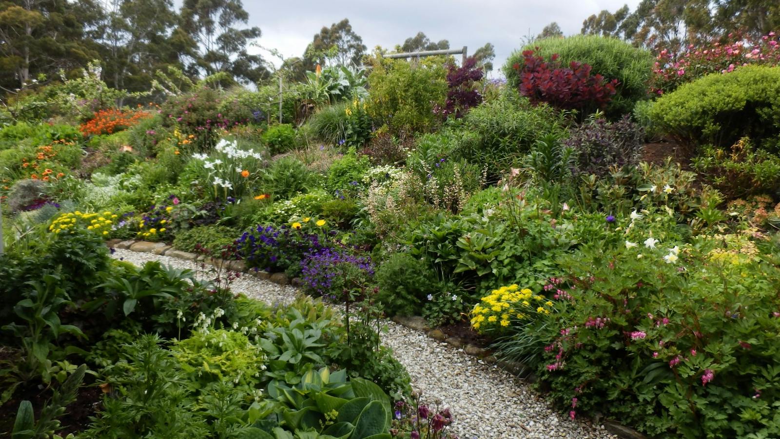 The garden